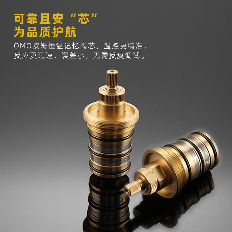 直销新款精铜亮铬色入墙式淋浴花洒恒温暗藏式预埋盒暗装雨淋花洒