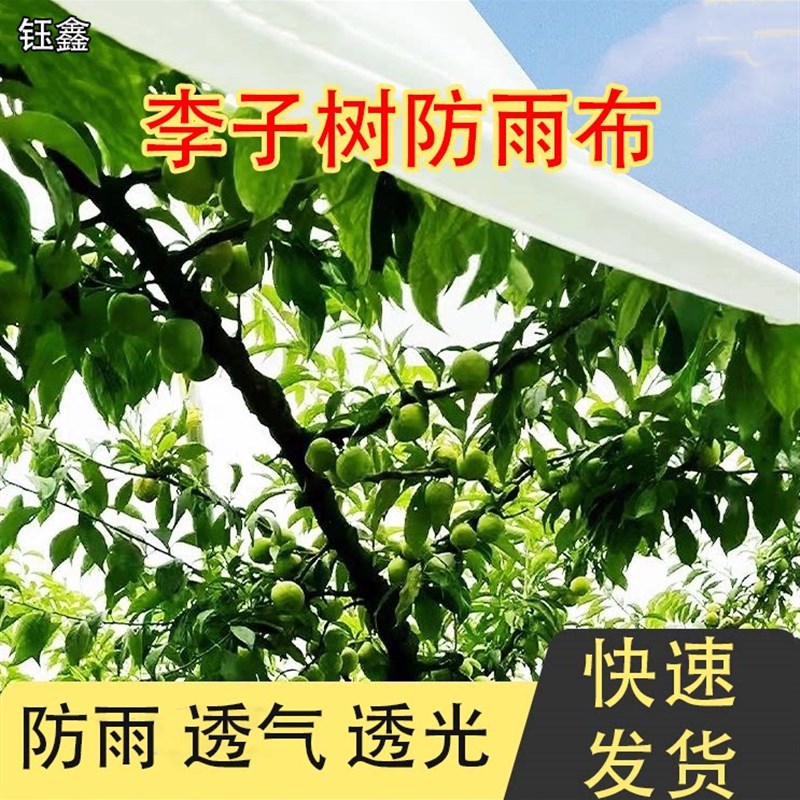 热销果树防寒防霜防冻防雨布李子防裂果耐用柑橘粑粑柑保暖护李布