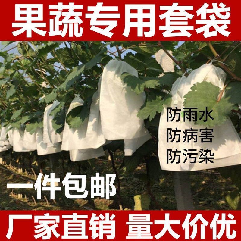 热销水果网套袋防虫防鸟纱网袋草莓套袋葡萄透气套袋无花果番石榴