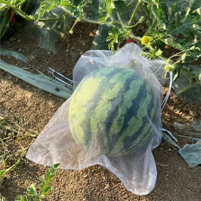 热销南瓜西瓜套袋防虫尼龙加密丝瓜防蝇套袋葡萄冬瓜火腿腊肉水果