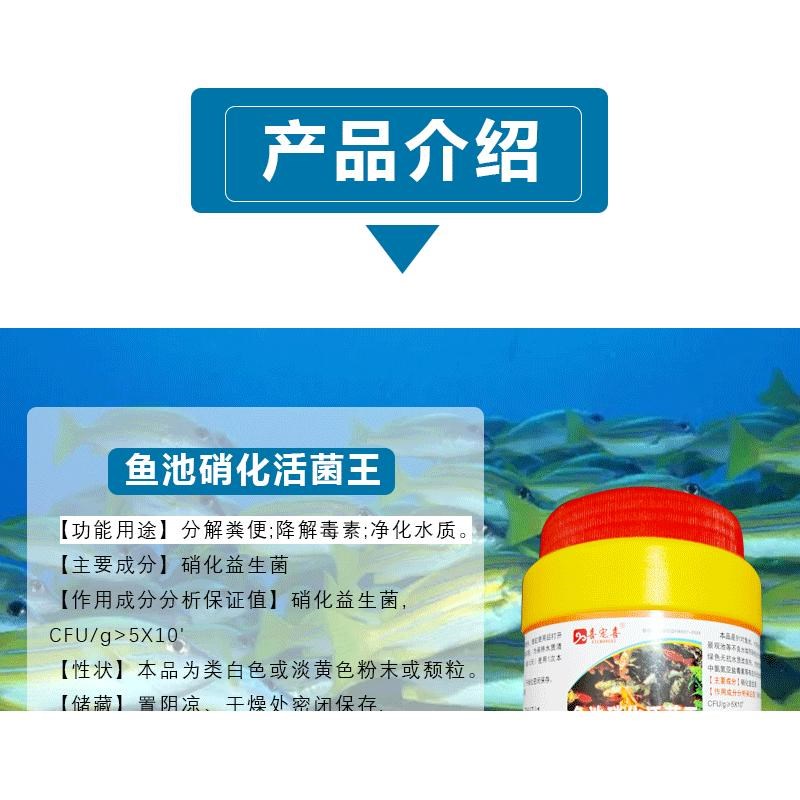 热销硝化鱼池用净化水质稳定剂分解鱼粪消化活菌液净水剂鱼药养鱼