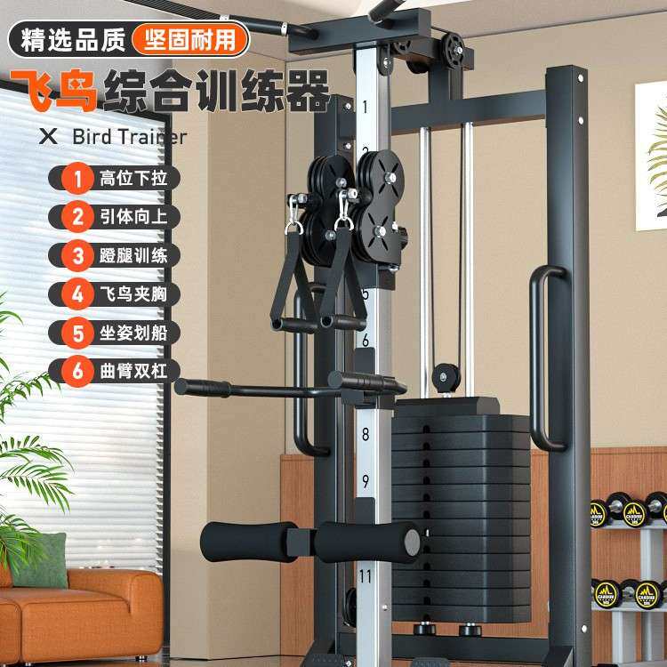 单边飞鸟综合训练器高位下拉练背引体向上龙门架双轮力量健身器材