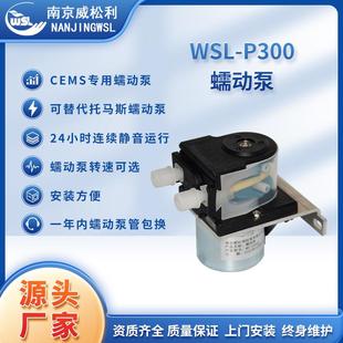 源头工厂直销WSL P300蠕动泵在线监测配件真空排水泵