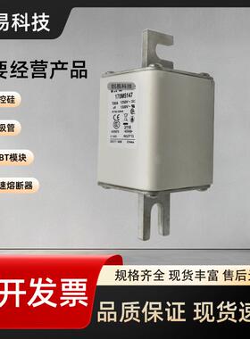 170M5163 170M5164 170M5165 170M5166 170M5167 170M5168保险丝