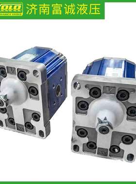 原厂供意大利VIVOLO齿轮泵XV-3P/47X3P8002AEEA大排量高压齿轮泵