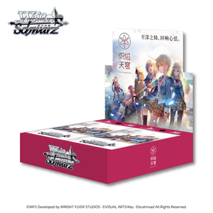 补充包简体中文版 Bushiroad 炽焰天穹 HBR 黑白双翼