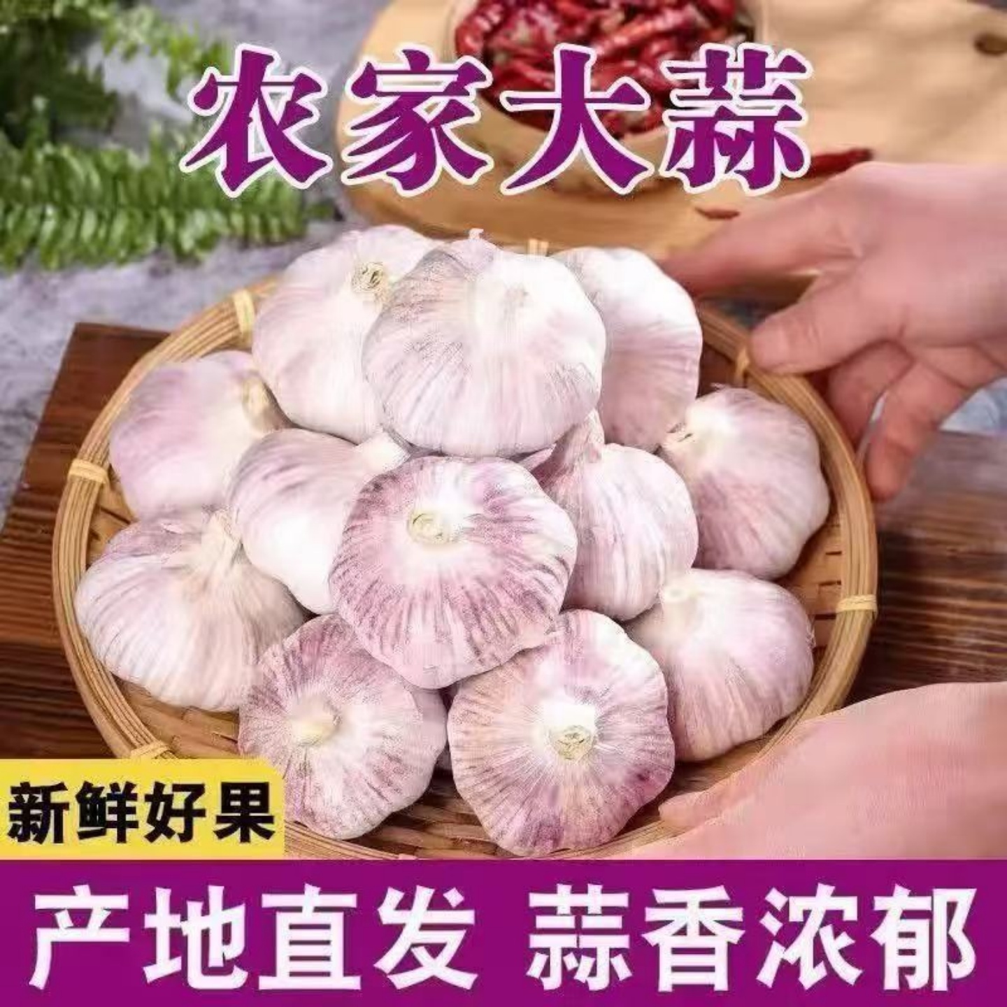 【特大干蒜】山东紫白皮大蒜头新干蒜大蒜大蒜头批发新鲜大蒜头