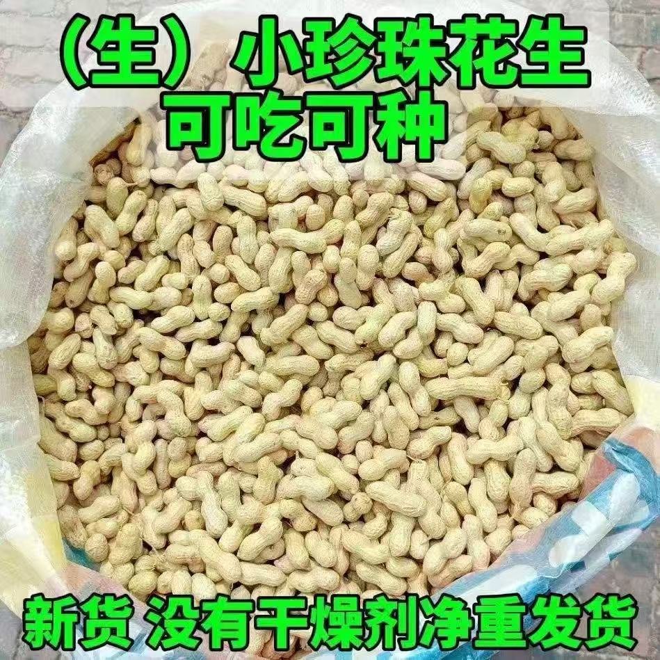 净重包邮晒干新花生农家精选小珍珠薄皮花生可发芽菜可生吃可榨油
