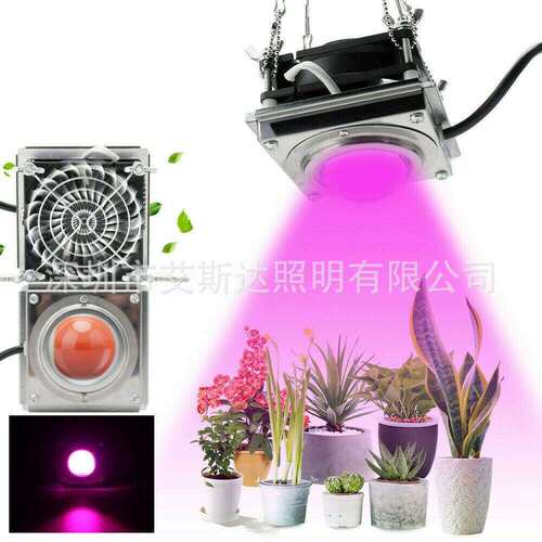 新款跨境全光谱COB植物生长灯50W/60WLED大棚蔬菜种植多肉补光灯