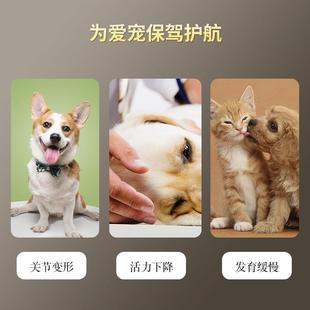 直销新款 素通用钙片 包邮 狗狗钙片健骨补钙宠物幼犬泰迪金毛微量元