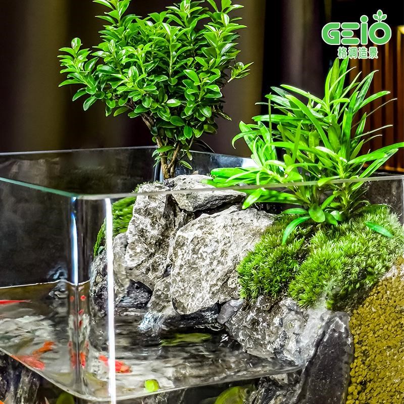 热销【山间明月】成品生态微景观鱼缸造景好养苔藓真植物一体循环
