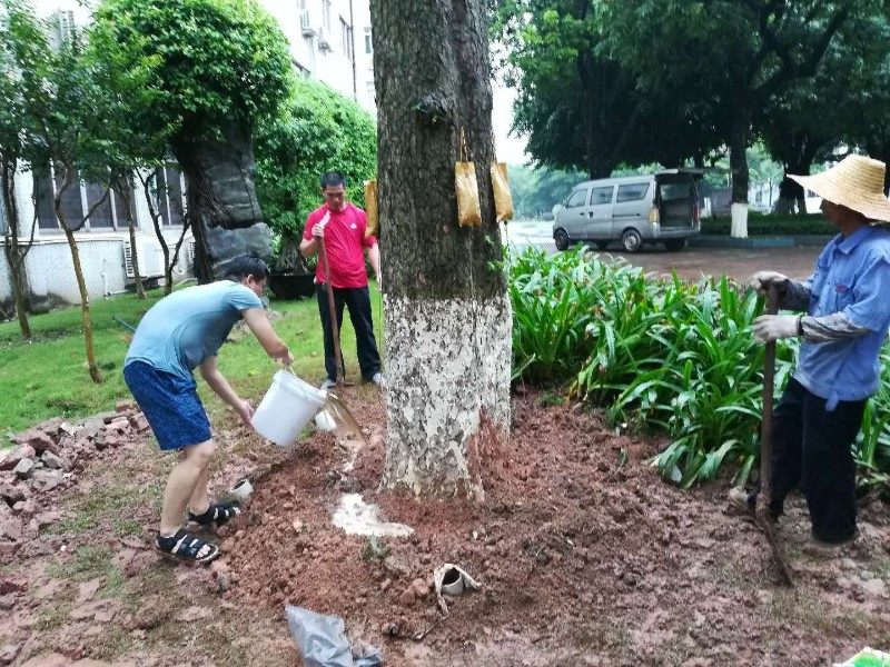热销国光施它活植物营养液吊针液通用大树成长液生根剂一包送钻头