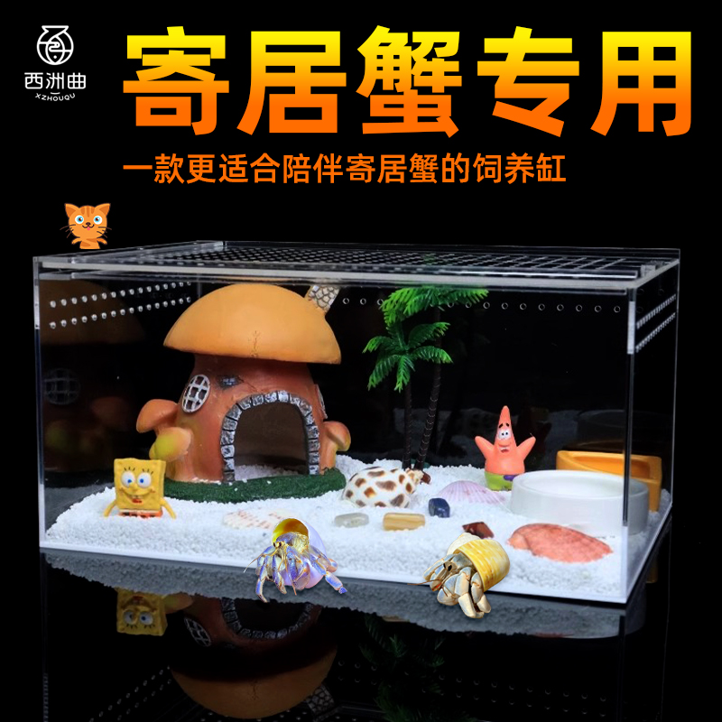 热销相手蟹沙蟹缸亚克力饲养盒寄居蟹饲养箱鱼缸生态造景躲避套餐