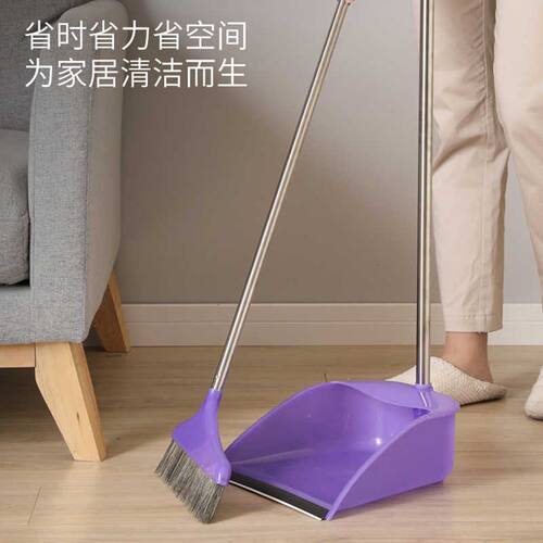 美丽雅易丰收组合扫把鬃毛客厅简约轻巧扫得干净刮毛发贴合地面
