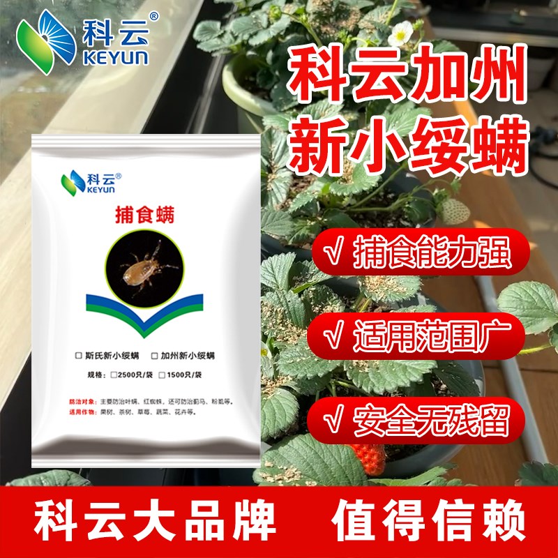 热销科云加州捕食螨红蜘蛛叶螨柑橘草莓月季花卉多肉大棚天敌生物