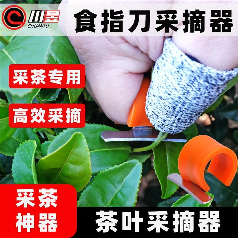 热销川昱食指刀茶叶采摘器手工采茶专用绿红乌龙黑白黄茶采摘采茶