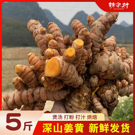 新鲜姜黄小黄姜红肉姜黄中药材月子姜广西香料可药用食用现挖