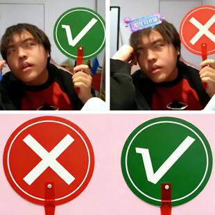 好实用的桃黑黑应援神器！对错手举牌粉丝应援棒裁判评委打分专用