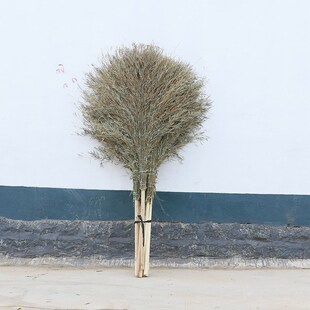 厂家现货木杆大扫把 加长木杆把加粗竹条扫把 清扫环卫清洁扫帚