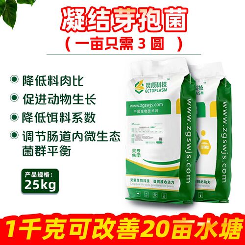 凝结芽孢杆菌种水产养殖复合芽孢菌鱼虾蟹塘调水肥水降氨氮亚盐