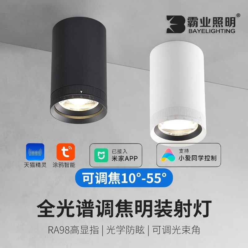 变焦明装射灯涂鸦智能聚光变光小吸顶式沙发背景墙全光谱可调焦灯,家装灯饰光源,明装射灯,淘宝优惠券,粉丝福利购,淘宝优惠卷