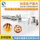 全自动蛋类清洗机 保洁蛋咸鸭蛋鸡蛋清洗机 打蛋洗蛋机磕蛋流水线