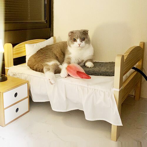 狗狗床猫咪宠物床实木离地冬季保暖沙发木制公主狗窝小型家具床品
