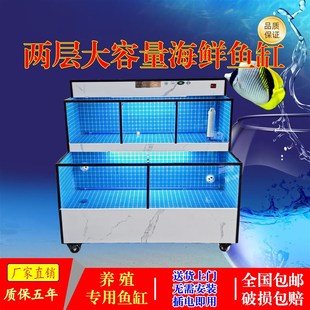 饭店酒店生鲜超市制冷机一体移动式 玻璃恒温商用贝类海鲜鱼池鱼缸