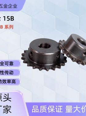 链轮 SP15B16/17/18/20/24-P-10 SP15B24/26/28/30-N-12/15/16 SP