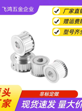 同步带轮 HTPA48S5M100-A-N12 /12.7/14/15/16/17/18/19/20/22/24