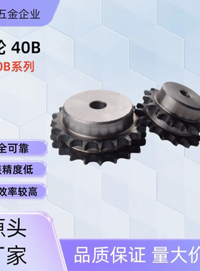 链轮SP40B30-N-20 /22/24/25/28/30/32/35/40 SP40B30-N-32 SP40B