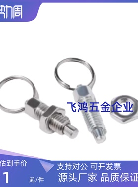 ZAC40/ZAC41/ZAC42/ZAC43/44/45-M6 M8 M10 M12 分 度 销 拉 环型