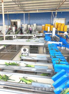 全自动重米量分选机农重副产品量分选TDC流水线果蔬称玉重分级设