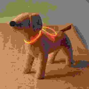 猫咪狗狗 发光项圈小中脖圈 夜间防丢遛狗神器 适合小型犬小狗