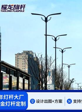 工业园道路庭院户外6米8米9米不锈钢灯杆外贸led铝合金镀钛金灯杆