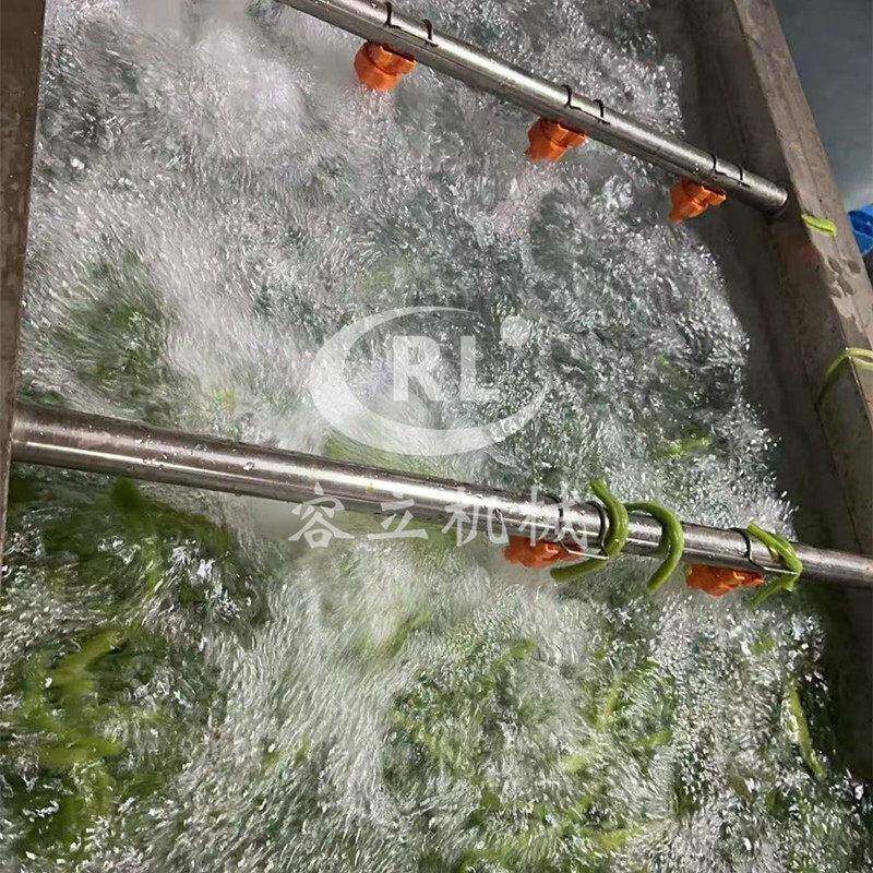 气泡式贡菜清洗机鼓泡式蕨菜梅干菜清洗去杂机果蔬气泡清洗机