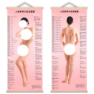 人体常用穴位图 中医美女穴位任脉督脉标准穴位作用展示卷轴挂画