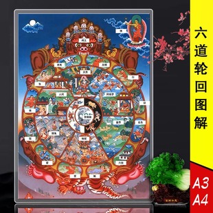 六道轮回图解学习卡 塑封防水高清速记卡片