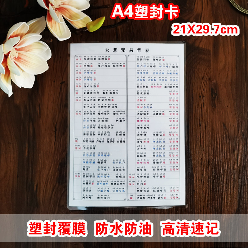 结缘大悲咒易背表拼音版高清塑封其它印刷制品