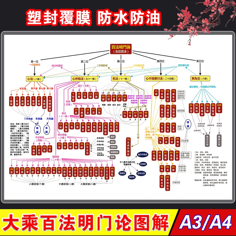 大乘百法明门论图解瑜伽行五位百法观想佛卡片塑封印刷 防水防油