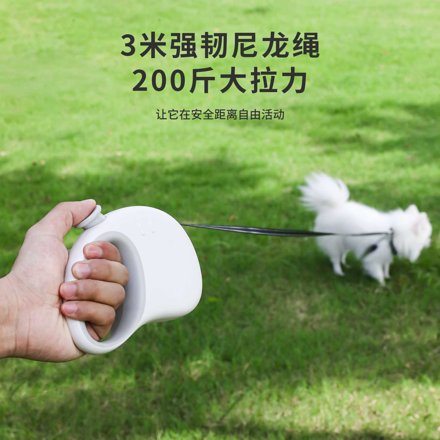 新款直销狗狗牵引绳自动伸缩尼龙遛狗绳3m中小型猫犬外出胸背带牵