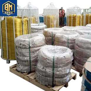 直销新款 25mmH70黄铜线 冷镦铆钉弹簧用铜线 规格0.1