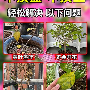 三角梅复活液植物专用开花肥强力生根剂黄叶光杆养花营养生根药水