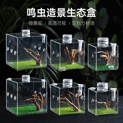 鸣虫地栖跳蜘蛛饲养盒专业透明亚克力造景蝎子养殖箱小号螳螂盒