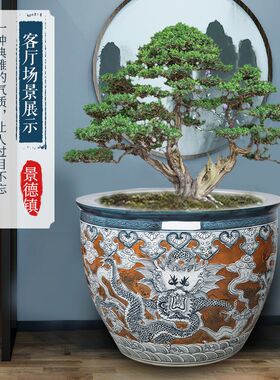 景德镇陶瓷大缸雕刻龙纹鱼缸中式家用客厅室外庭院荷花缸睡莲缸