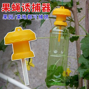 简易果蝇诱捕器盖头果园瓜地桔小实蝇针锋瓜蝇诱引捕捉诱剂果蝇药
