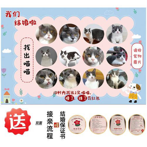 接亲游戏KT板找宠物小狗猫咪定制婚礼结婚整蛊新郎伴郎堵门道具