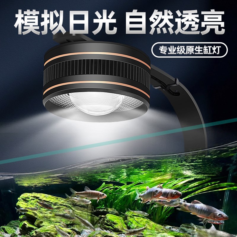 瑶睿原生态鱼缸LED灯溪流缸暴藻灯全光谱筒灯射灯水草鱼缸观赏灯