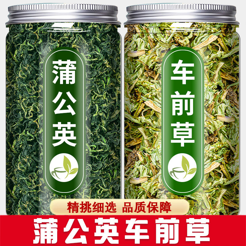 蒲公英车前草中药材旗舰店正品新鲜干货浦公英车钱草袋泡茶泡水喝