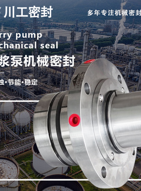 不锈钢316材质双端面机械密封H7 100SAZF206-120-50机封型号